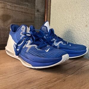Labron Witness Nike Basketball Shoes